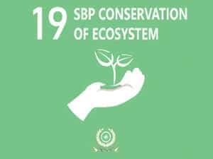 sbp SBP Conservation of Ecosystem